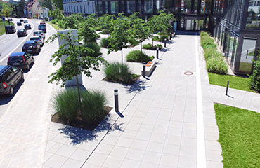 gepflasterter Eingangsbereich mit Baum- und Schilfgrasinseln